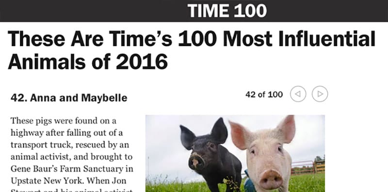Anna and Maybelle make Time Magazine's 100 most influential animals of 2016