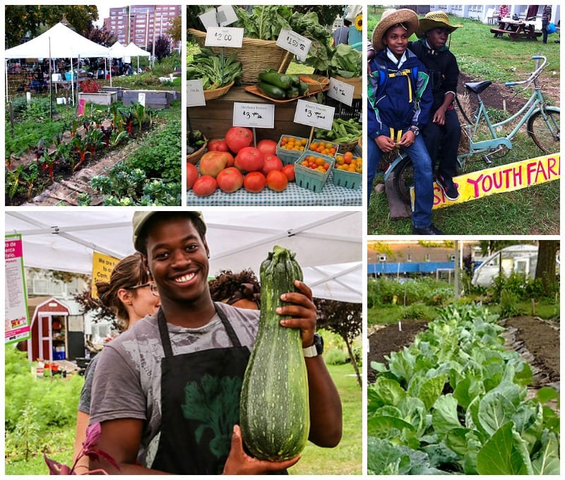 HSPS Youth Farm collage of vegetables, farmers market, and students