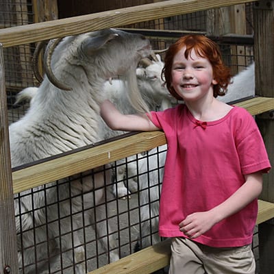 Child and Ram at the Animal Sanctuary