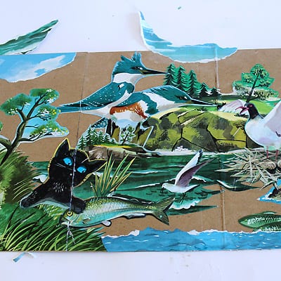 A view of The Little Island accordion book scene with cat, fish, birds, and other nature images.