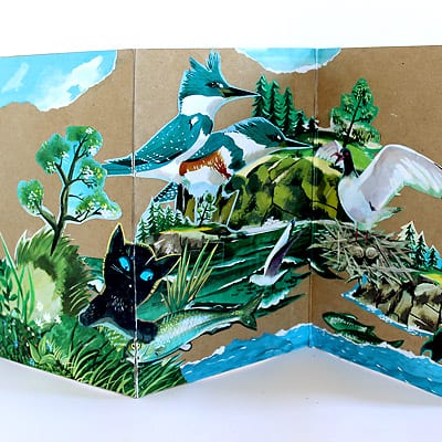 A view of The Little Island accordion book scene with cat, fish, birds, and other nature images.